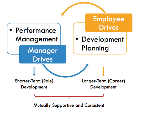 Workplace Development Planning Process